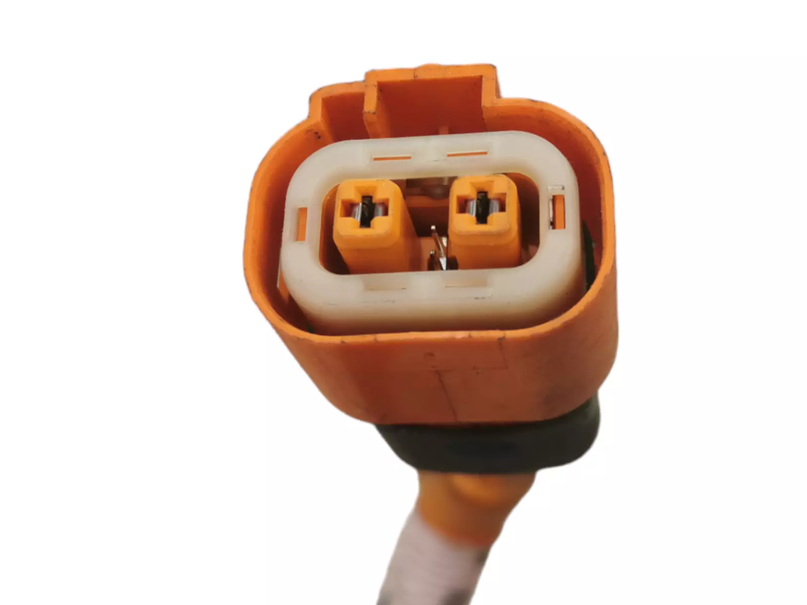 Nuotrauka