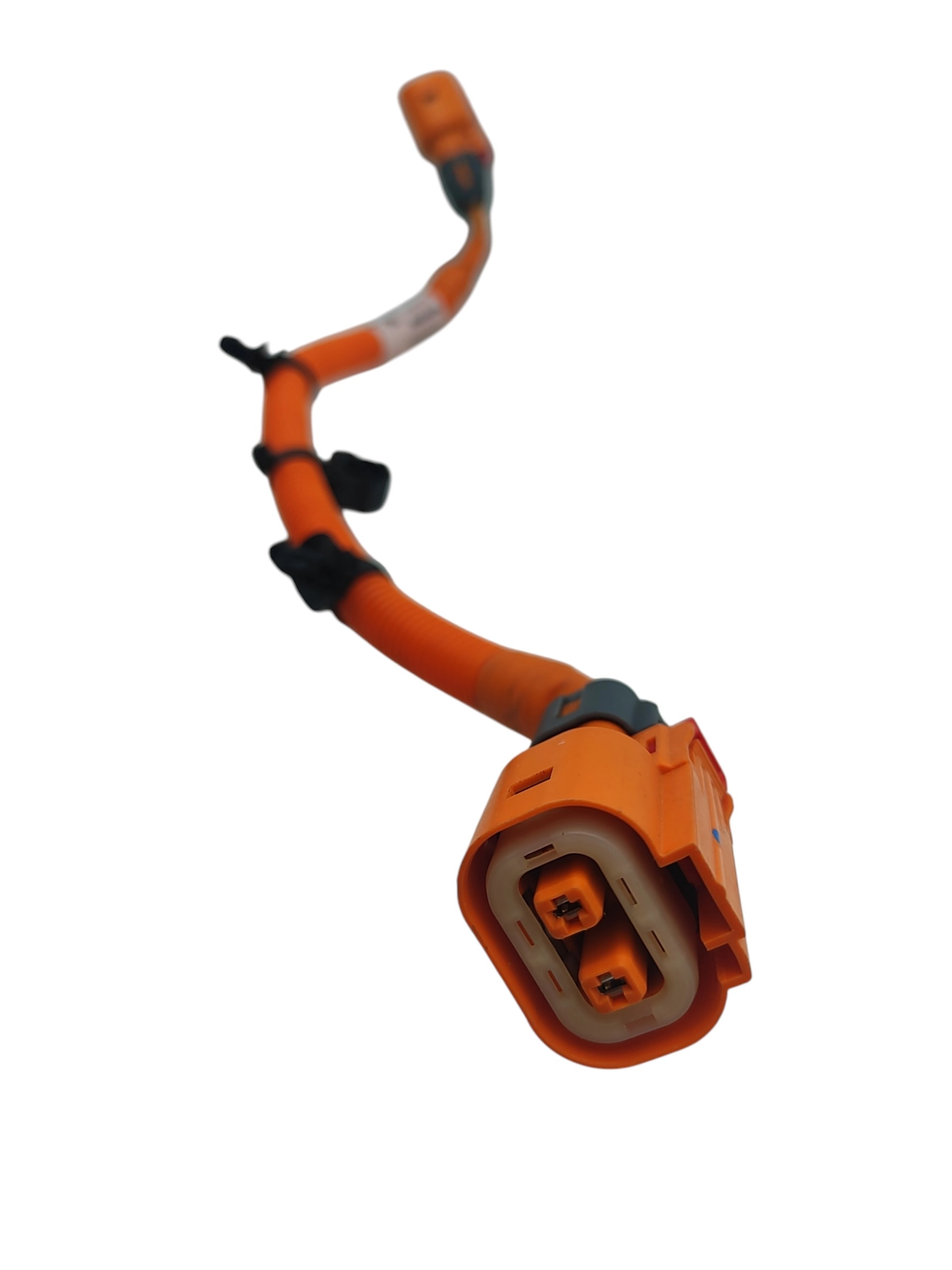 Nuotrauka