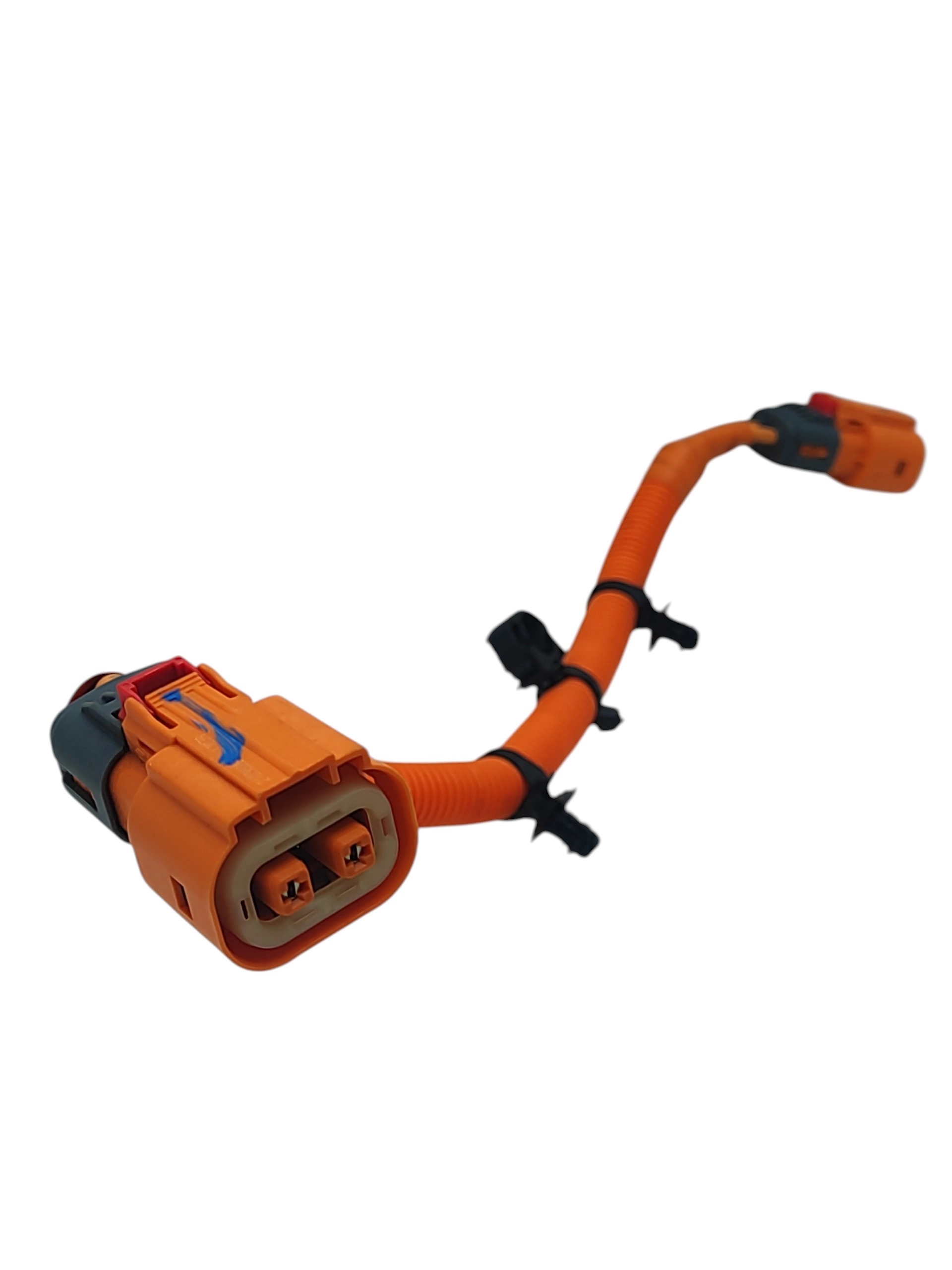 Nuotrauka